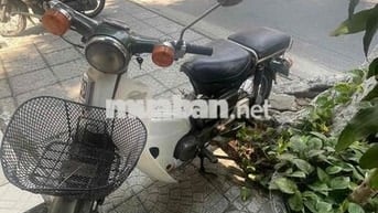 Honda Cub 81 Trắng Xanh