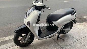Honda Scoopy Trắng đen