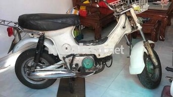 Honda Chaly màu Trắng