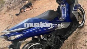 Yamaha Nouvo 6 Xanh Bạc 37406 km