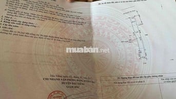 Mặt tiền DH704 Định An cũ 2 mặt dân
