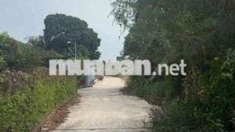 Hẻm Bê Tông 4m,  Thị trấn Đất Đỏ, Huyện Đất Đỏ, Bà Rịa - Vũng Tàu (Xã