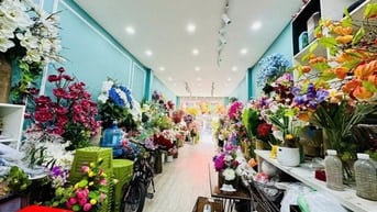 Nhà 30m mặt phố Hàng Giấy, 15 tỷ, kinh doanh rất tốt, chợ Đồng Xuân