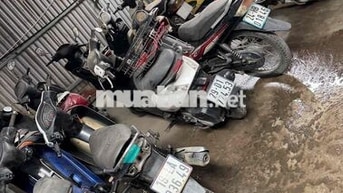 Xe máy Nhiều loại đã sử dụng