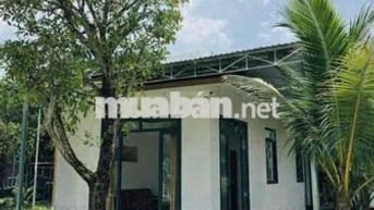BÁN GẤP 2 SÀO VƯỜN TẶNG NHÀ CẤP 4