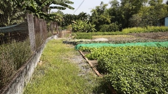 100 m2 đất tại trung tâm Phước Lợi, Long An (Gần chợ Gò Đen)