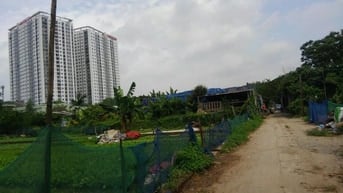 🚨 BÁN GẤP ĐẤT YÊN SỞ,  HOÀNG MAI – 107M2. GIÁ CHỈ 1.5 TỶ 🚨