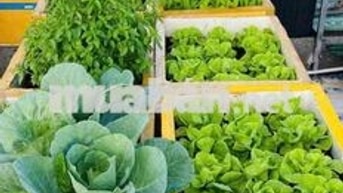 siêu phẩm nhà 4tangx45m nhân trạch phú lương, oto, kd nhỉnh 6ty