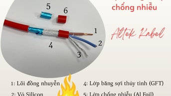 CHÁY MỚI BIẾT DÂY NÀO “SỐNG SÓT” – ĐỪNG CHỌN SAI NGAY TỪ ĐẦU
