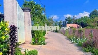 LÔ BIỆT THỰ VƯỜN 263M (10x27) | ĐỐI DIỆN CỔNG KCN SONADEZI | NGAY QL56