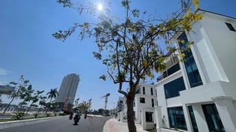 Bán biệt thự view sông dự án cồn tân lập Nha trang 