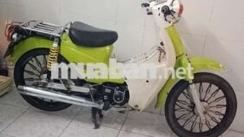 Honda Cúp 50 