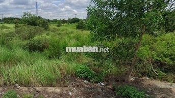 Bán Đất Đức Hoà Đông, Giáp Ranh Bình Chánh đường 12m SHR