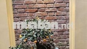 Chính chủ gửi bán nhà lõi Ba Đình