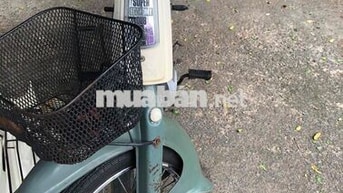 Honda Cub 81 màu Xanh