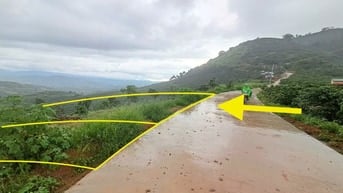 Đất 5000m2 đã tách 2 sổ, mặt tiền bê tông chỉ có 1.1ty
