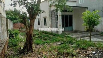 250M2 NHÀ VƯỜN DIỆN TÍCH LỚN 10X25 DUONG CÔNG KHI GIÁ TỐT