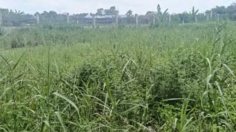 Đất TẠI ML-PH 2 MT, MT chính 4m, MT hậu 2m. Bán nhà TẠI TT.CẦN GIUỘC