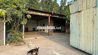kho xưởng mặt tiền , tân tạo , bình tân , , dt 200m2 , giá 12,5tr