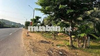 ĐẤT nhà ở Hoài Nhơn khu dân cư mới đẹp.