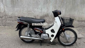 Honda Super Dream Nâu, Trắng