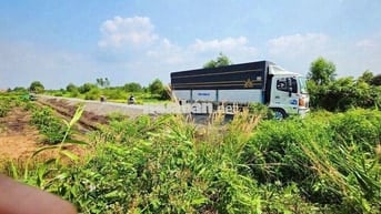 BÁN 830MV ĐẤT VƯỜN MT KÊNH LỚN GIÁ RẼ. KH ĐC LÊN THỔ CƯ