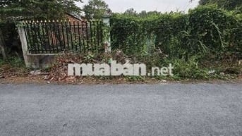 Bán nền đất 10×42m(420m2) hẻm xe hơi 6m xã Quy Đức, huyện Bình Chánh