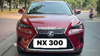 Lexus NX 300 2019 Đỏ 72136 km