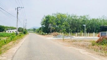 Nhựa to Minh Hòa 39 sát Hồ Dầu Tiếng, 350m2 dân đông, giá ngộp 530tr