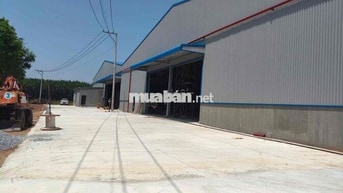 Cho thuê kho 1000m2 Đoàn Nguyễn Tuân, Bình Chánh đường xe container