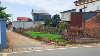 Đất chính chủ Đông Anh - Giá đầu tư - đón đầu quy hoạch