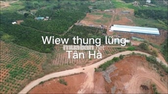 Đất ven Đà Lạt đón đầu cao tốc
