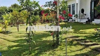 kẹt tiền bán lỗ đất Bình Phước