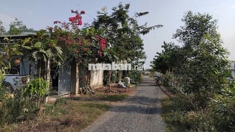 Cho thuê nhà 2 tầng, 250m2 ấp 5 xã Tam An, 500m ra KCN Long Thành, BXH