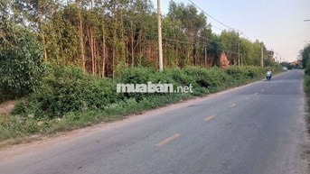 đất có mặt tiền nhựa 108m tại tp đồng nai