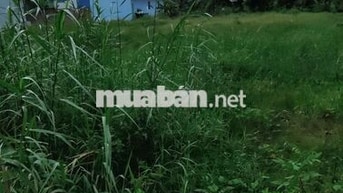 BÁN ĐẤT XÃ MỸ PHÚ, HUYỆN THỦ THỪA, LONG AN