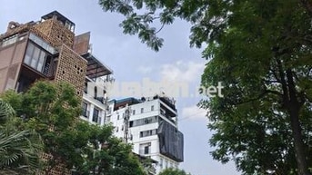 Cho thuê nhà 8 tầng mặt phố lạc Long Quân 