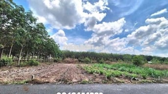 chị gái cần bán gấp lô đất giá rẻ