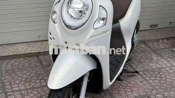 Honda Scoopy 2024 Trắng