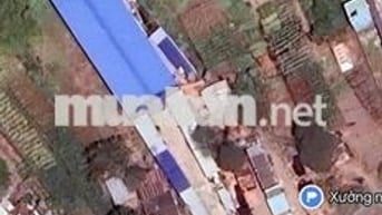 [ BÁN/CHO THUÊ] NHÀ XƯỞNG PHƯỚC HẢI ĐƯỜNG XE CONTAINER VÀO ĐƯỢC