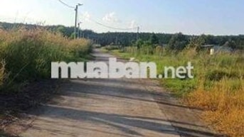 đất nền,thổ cư ,chính chủ,cần bán gấp