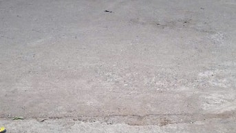 Gia đình về quê làm nhà vườn, muốn chuyển nhượng lại nhà ở ngay