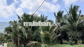 LONG KHÁNH THÀNH PHỐ ĐỒNG NAI. Lễ hội mùa trái cây