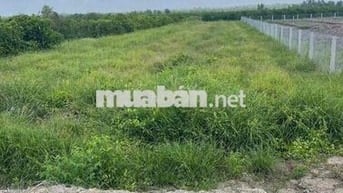 530tr/1000mv hết đất 680tr kênh lớn