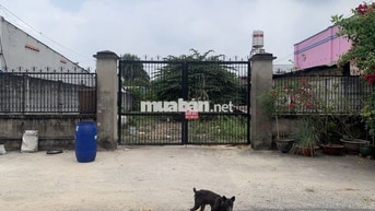 (NGỘP) GẦN 600m2 ĐẤT MẶT TIỀN ĐẸP NGAY TÂN AN HỘI CHỦ CẦN SANG GẤP