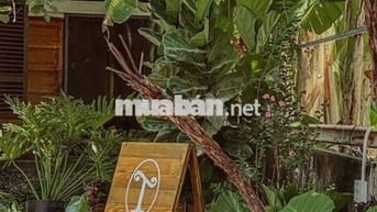 CHO THUÊ MẶT BẰNG CHẾ LAN VIÊN - 350M2 NGANG 12M - GIÁ 40TR