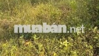 Bán 166 m2. Mặt tiền 6 m Đất Chính Chủ tại An Cổ, Mỹ Lộc, Nam Định
