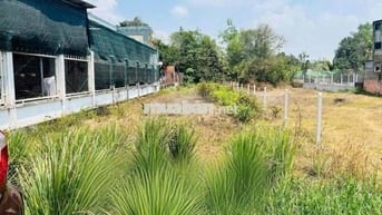 Bán nhanh lô đất 100m2 giá 600 triệu gần KCN Trảng Bàng. SHR