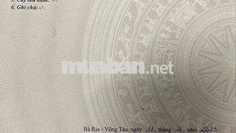 Đất đẹp nở hậu tổng dt 330.8m2 Trong đó có thổ cư 202m2