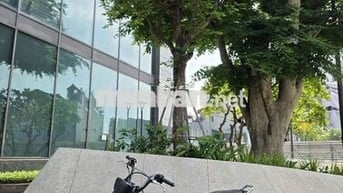 Zoomer-X 2015 Xanh rêu gin đẹp